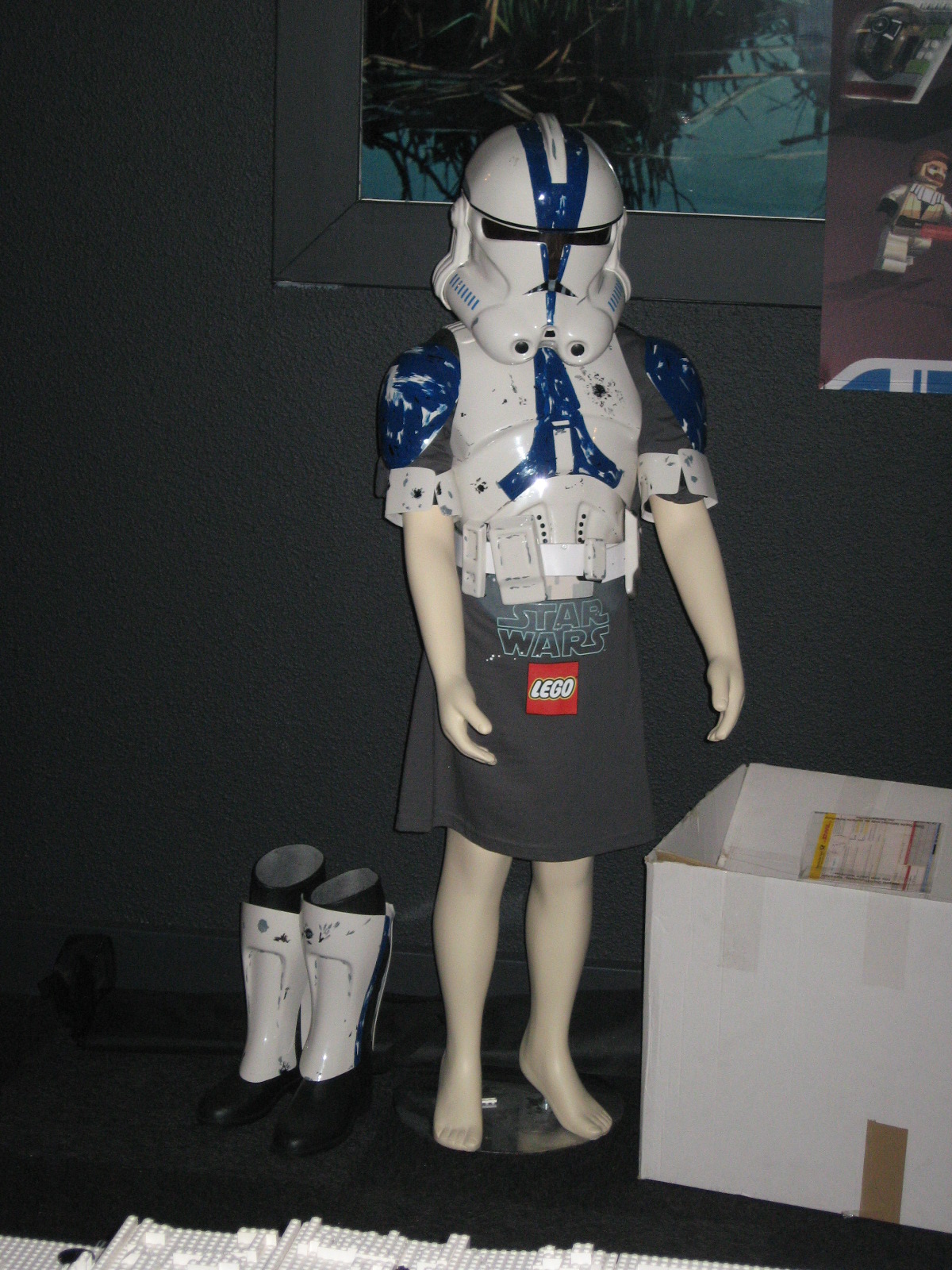 253.jpg