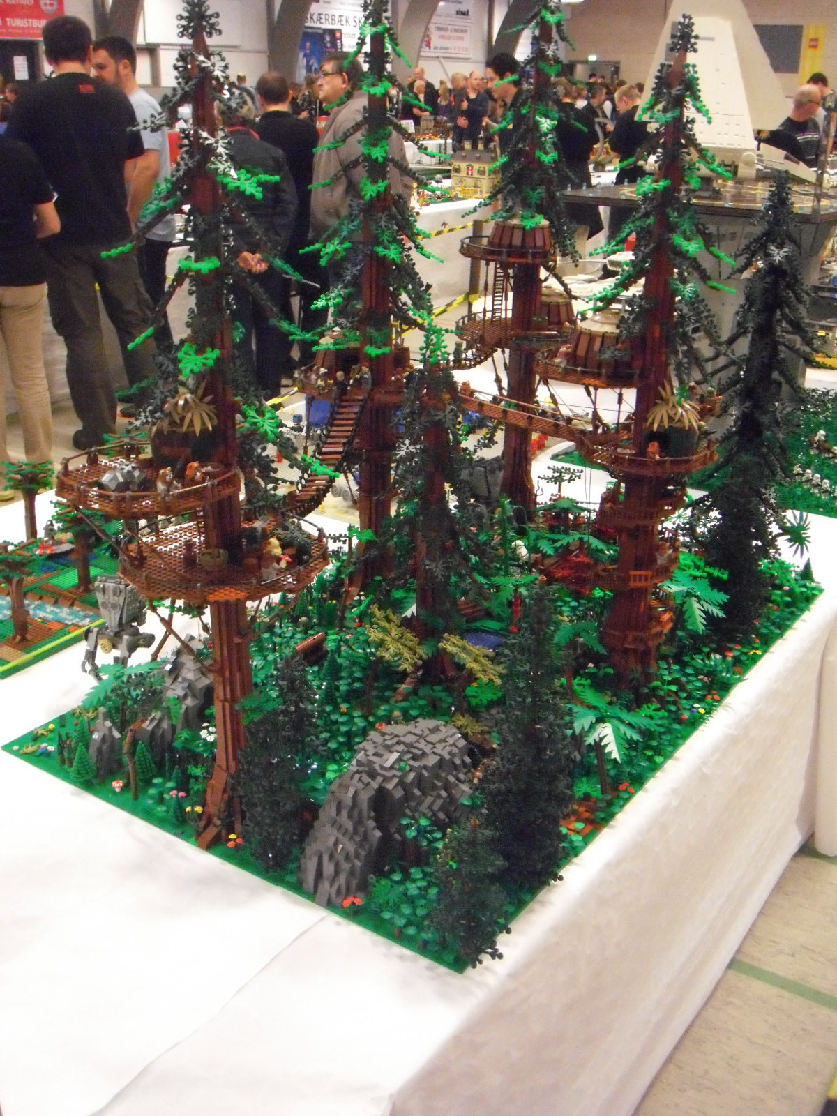 dscf0105.jpg
