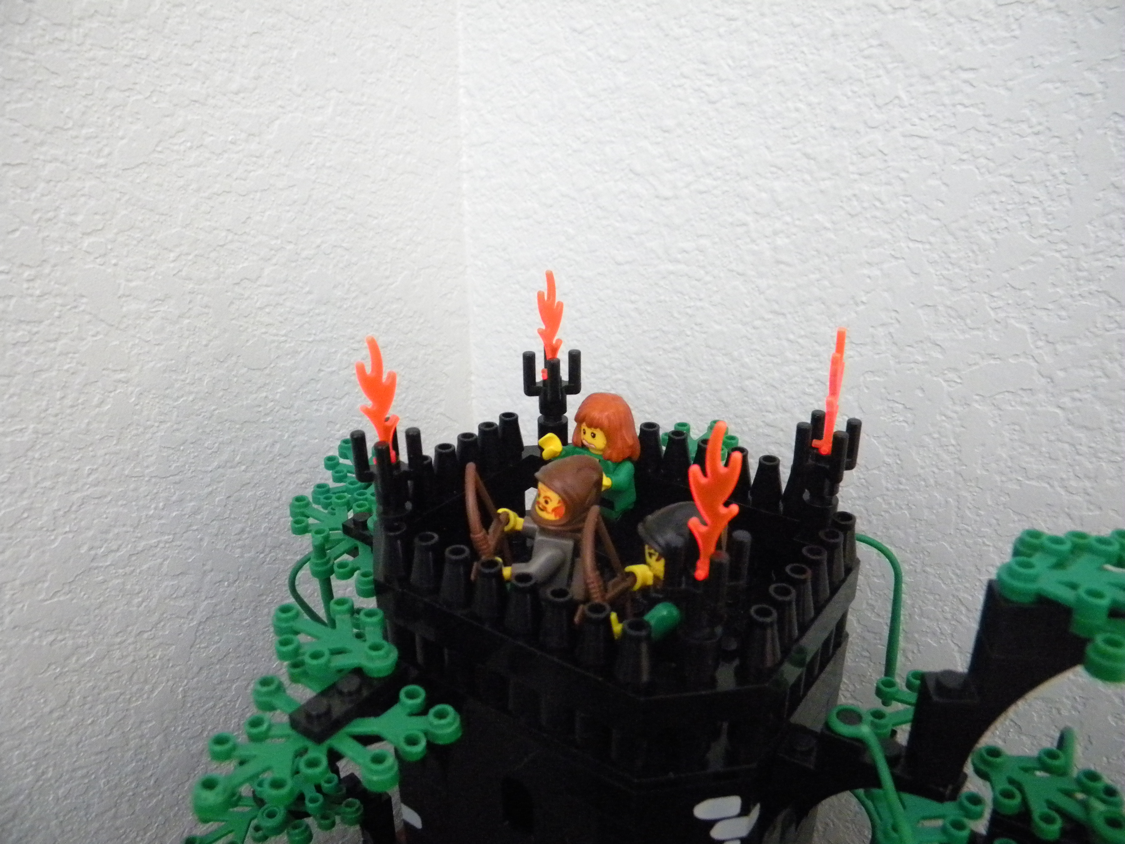 dscn1145.jpg