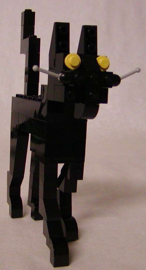 cat-102a.jpg