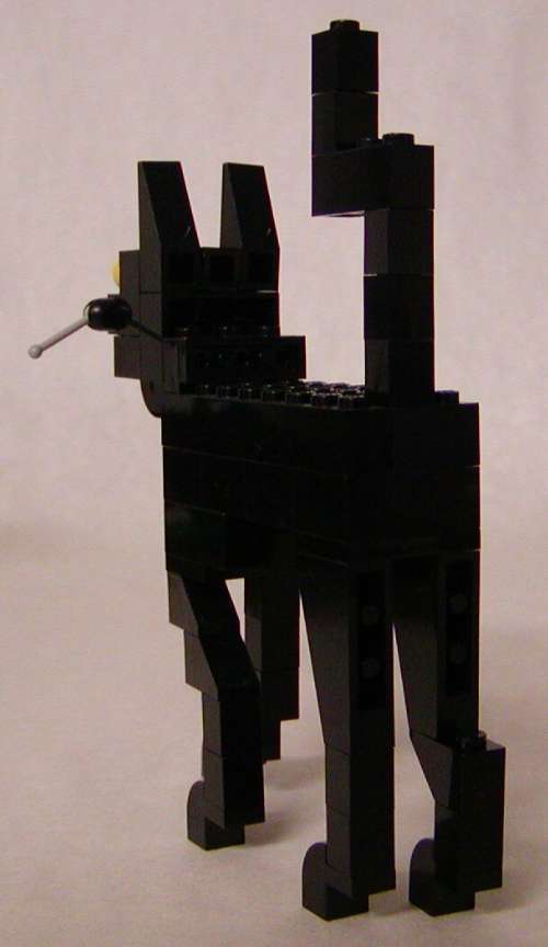 cat-204a.jpg