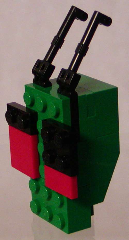 head-02c.jpg