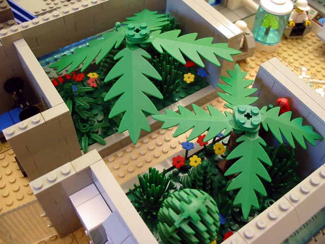 beagle_arboretum.jpg