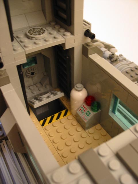 beagle_evareadyroom1.jpg