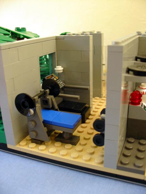 beagle_gym1.jpg