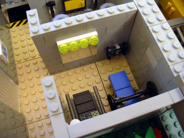 beagle_gym2.jpg
