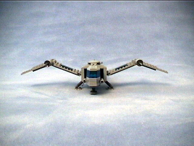 ornithopter02.jpg
