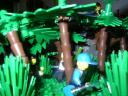 nature14.jpg