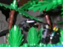 nature19.jpg