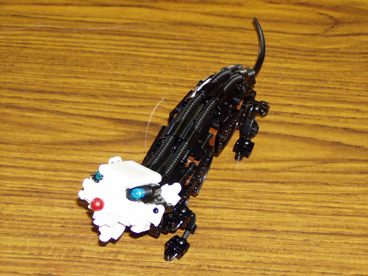 p1010007.jpg