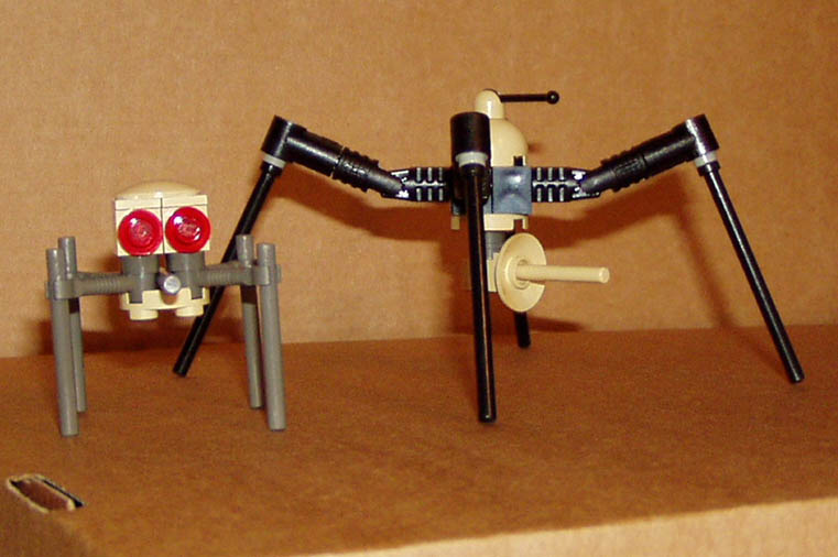 dspider.jpg