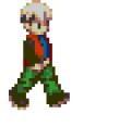 chaudwalk.gif