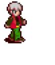 chaudwalk2.gif