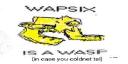 waspixbanner.jpg