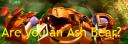 im_an_ash_bear.jpg