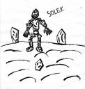 solek015.jpg