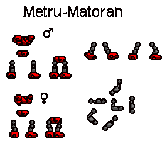 metrumatoranbodies.png