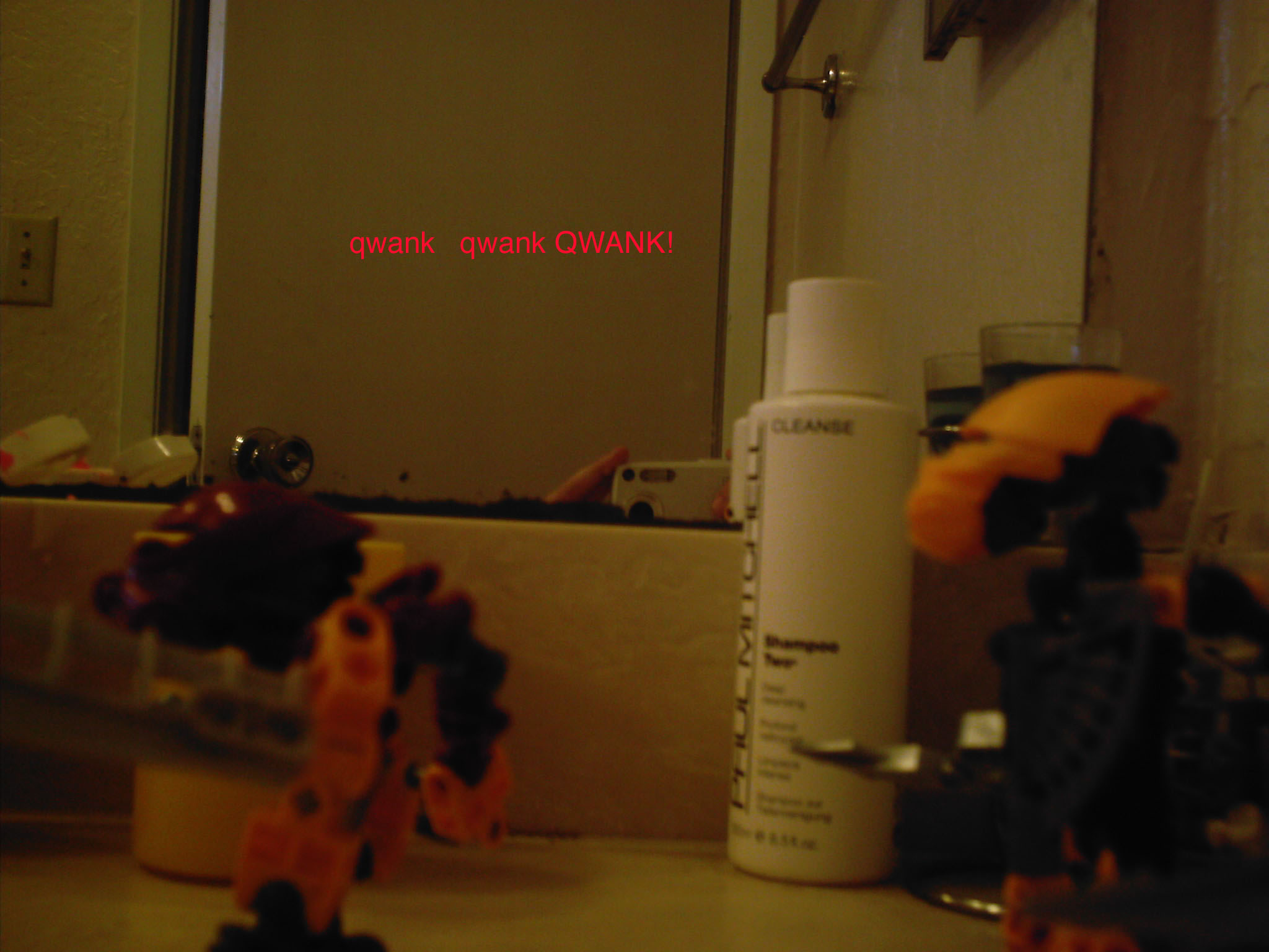 dcfn0018_copy.jpg