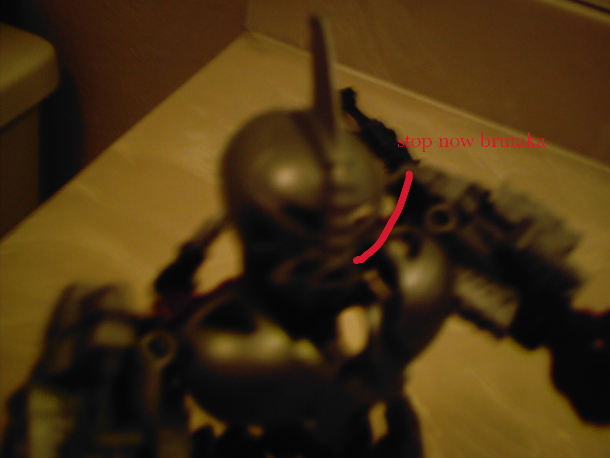 dcfn0032_copy.jpg