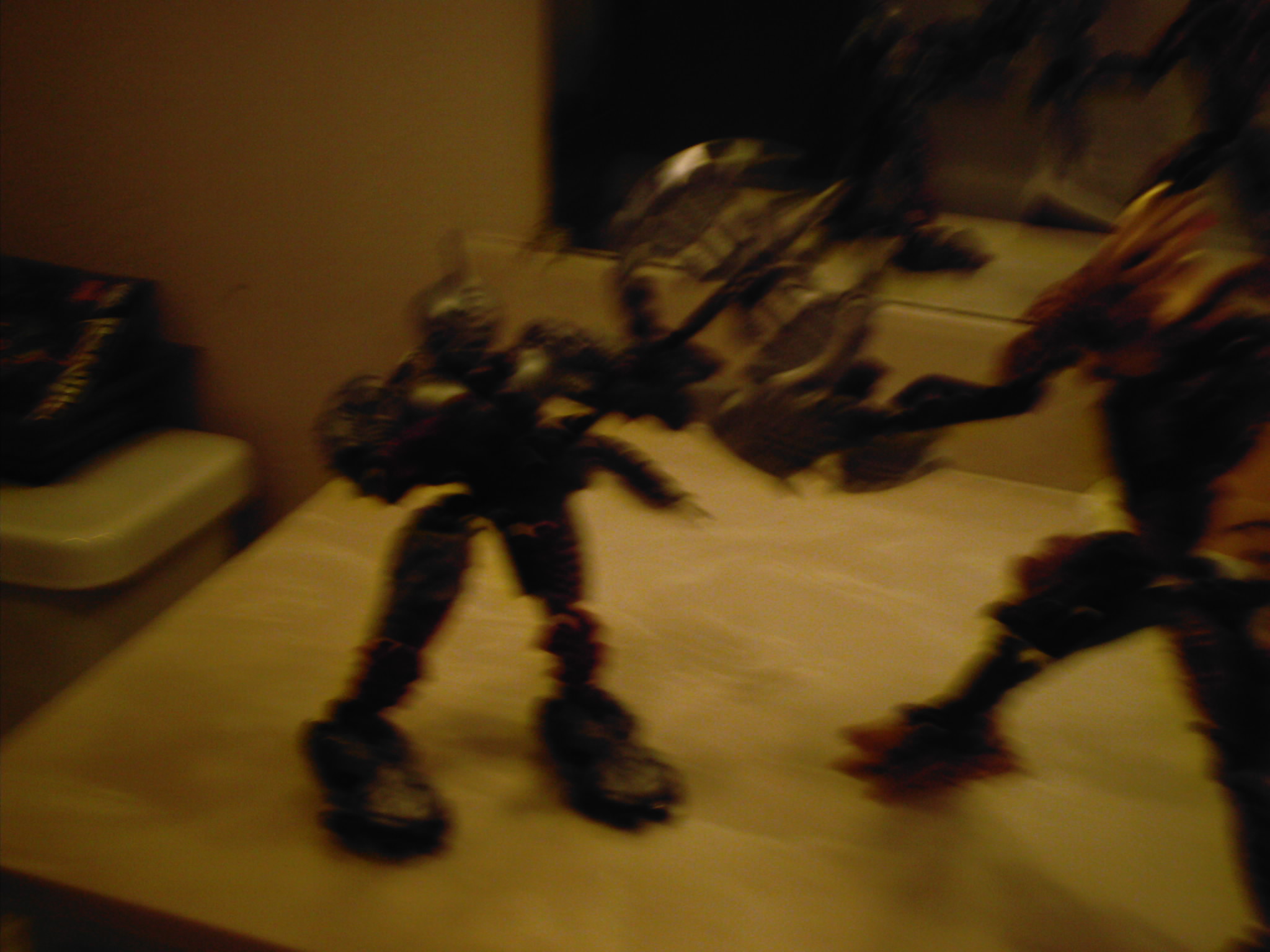 dcfn0037.jpg