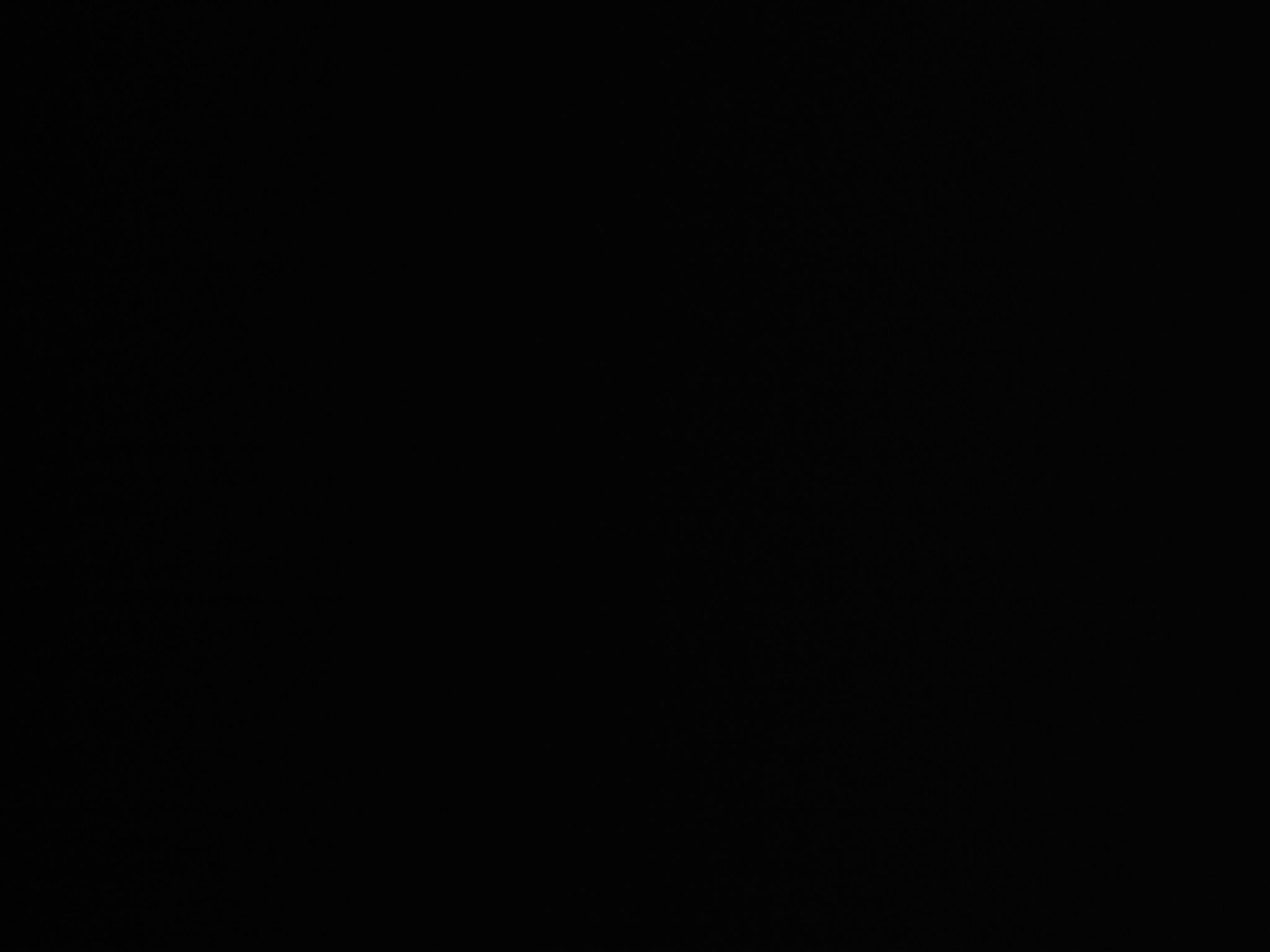 dcfn0017.jpg