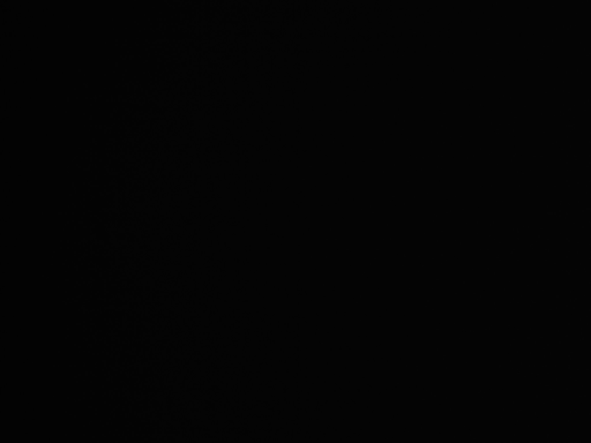 dcfn0020.jpg