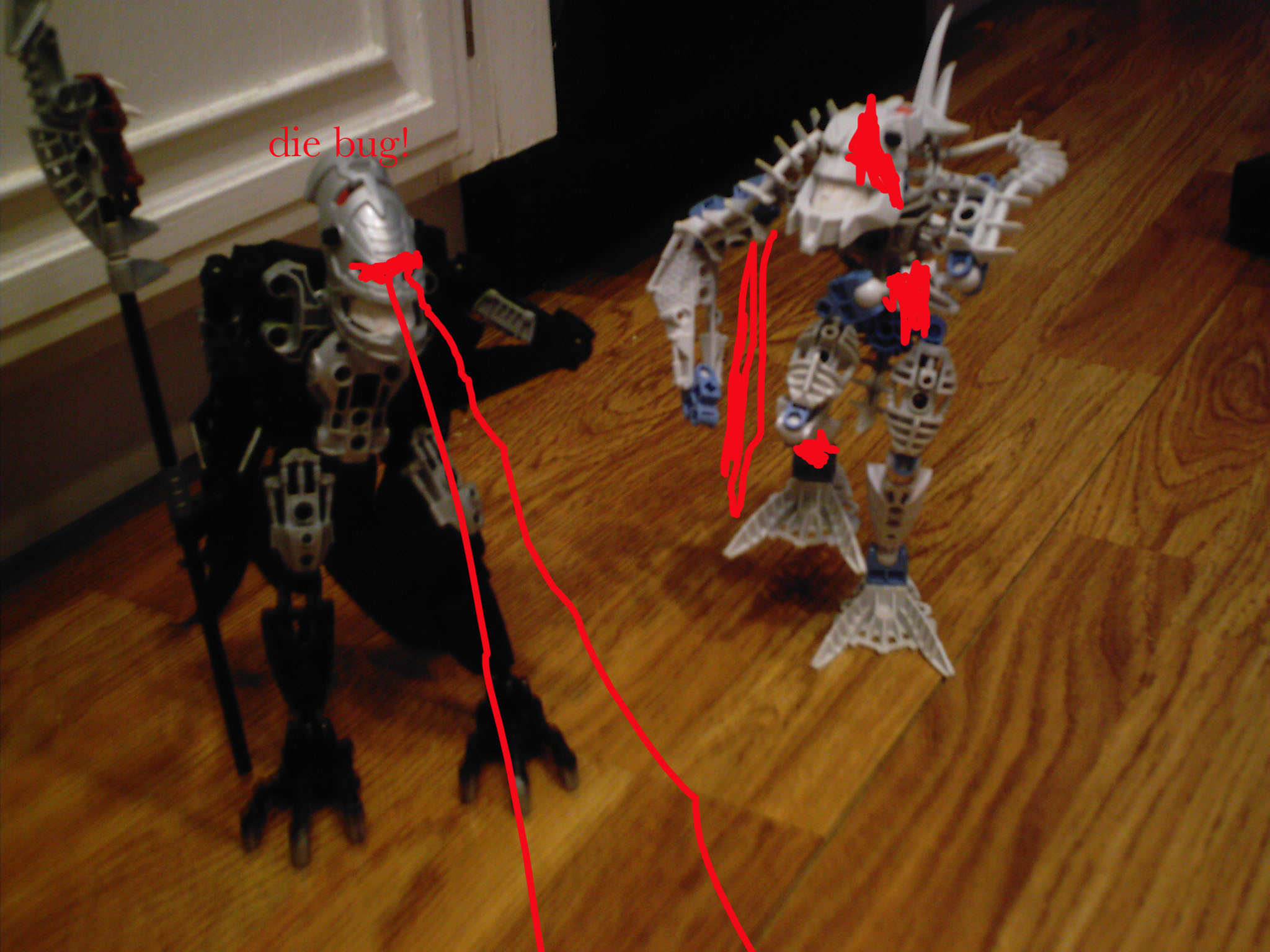 dcfn0023_copy.jpg