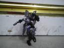 dcfn0008.jpg