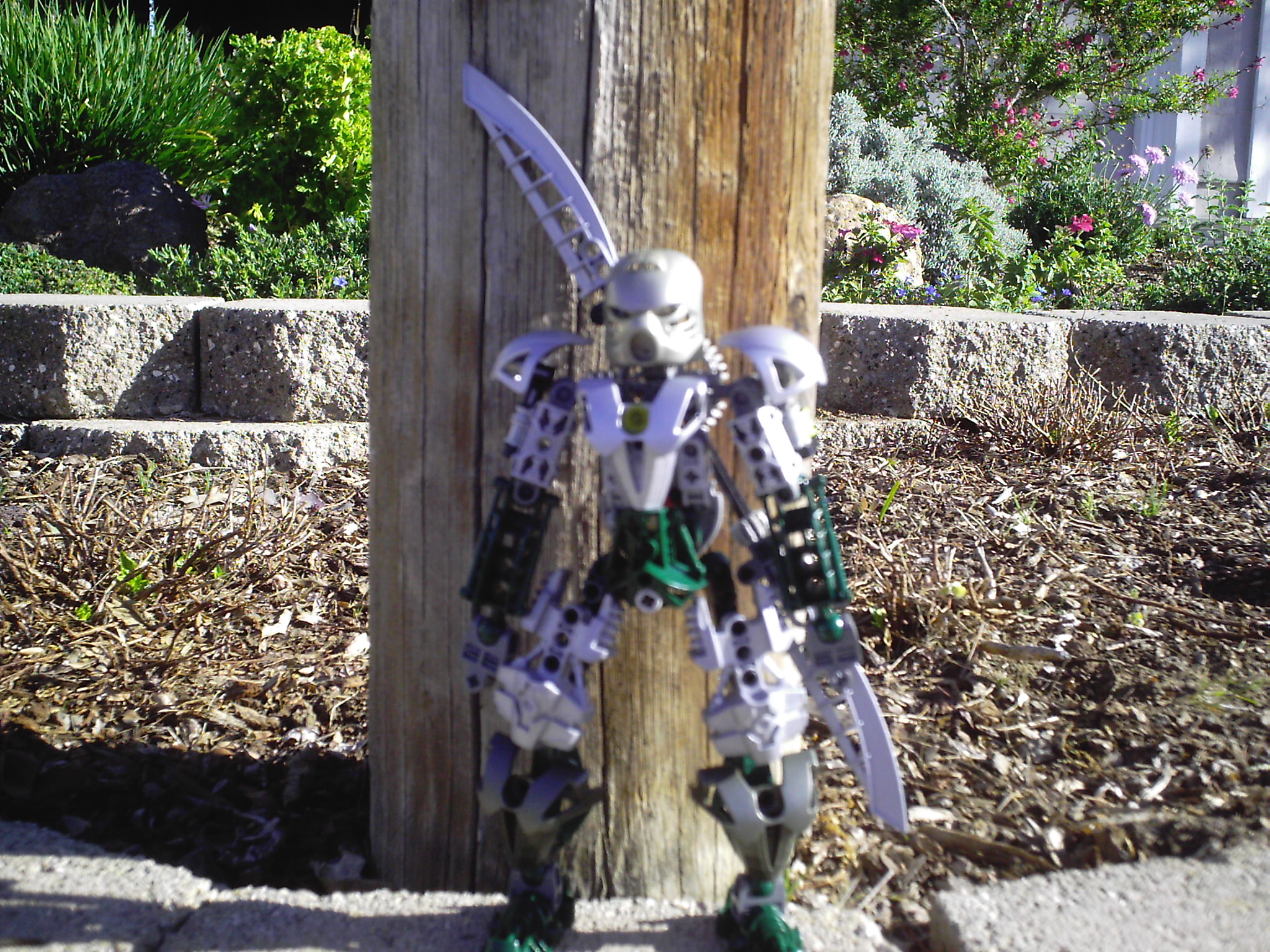 dcfn0006.jpg