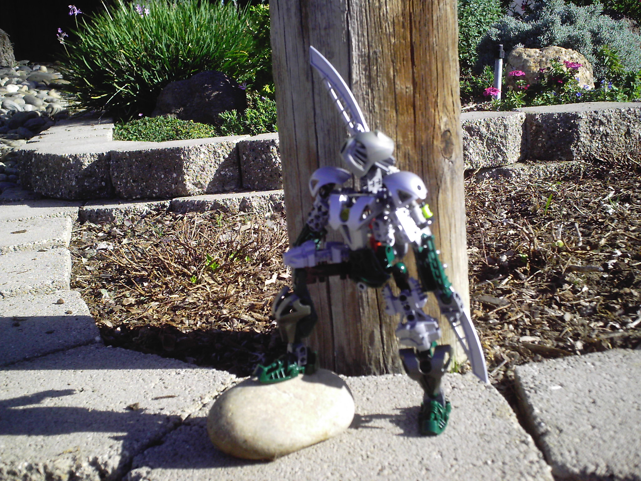 dcfn0007.jpg