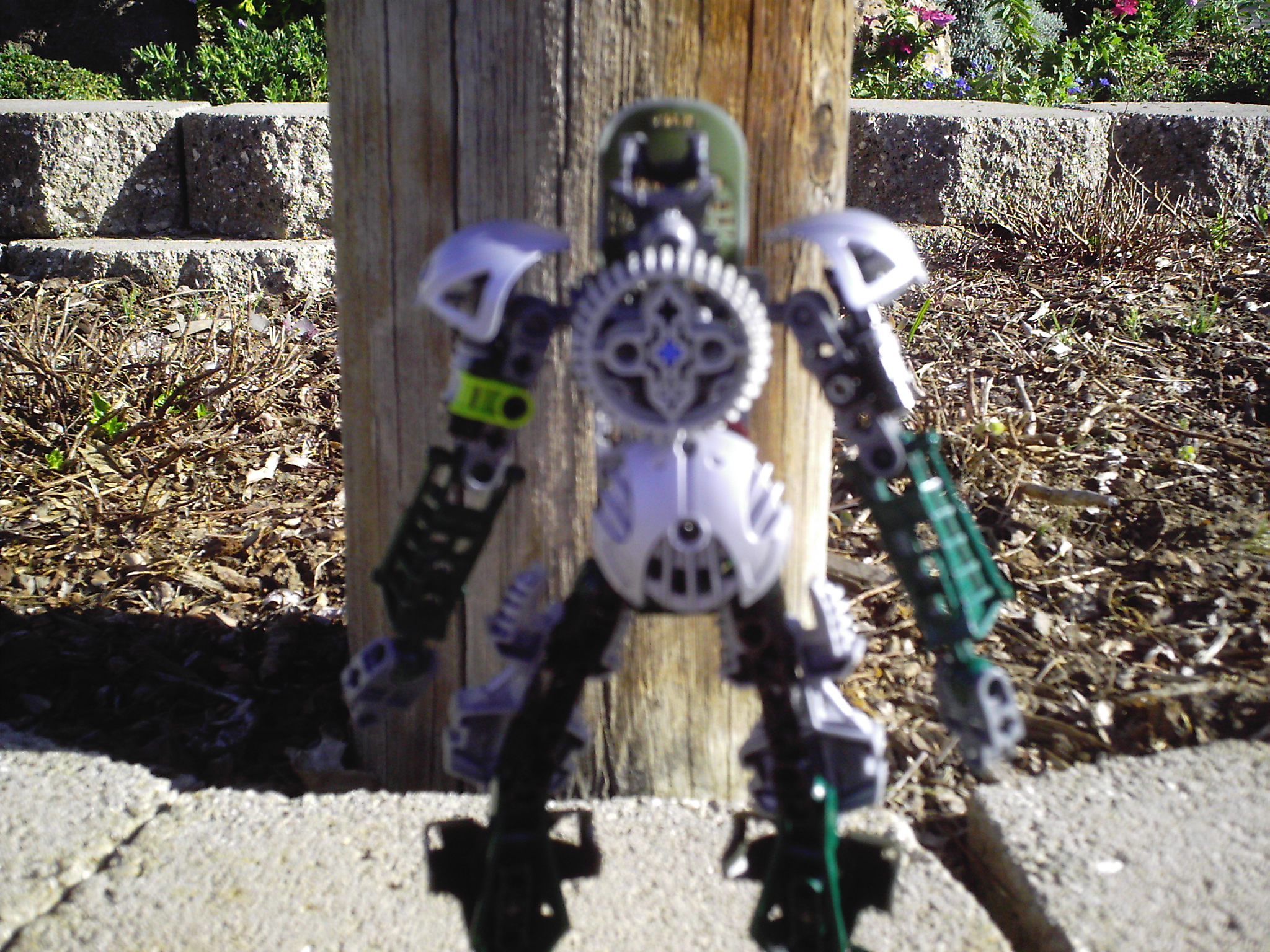 dcfn0009.jpg