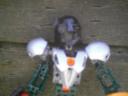 dcfn0004.jpg