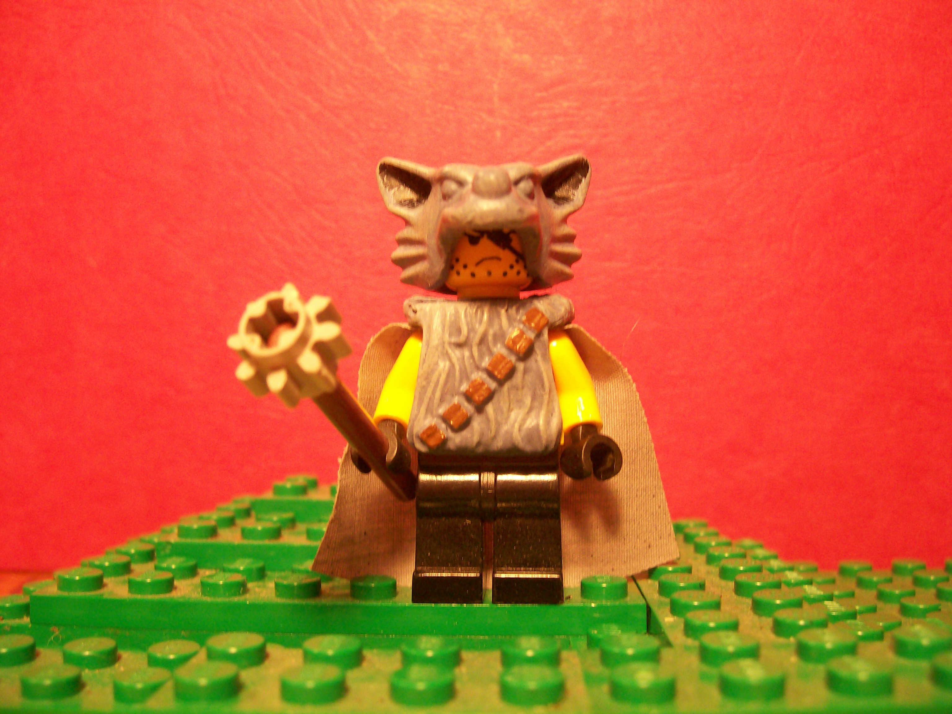 legophoto_071.jpg