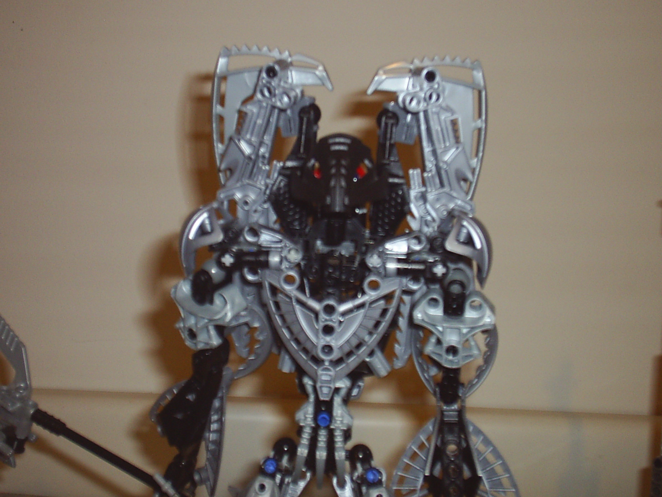 wingsclose.jpg