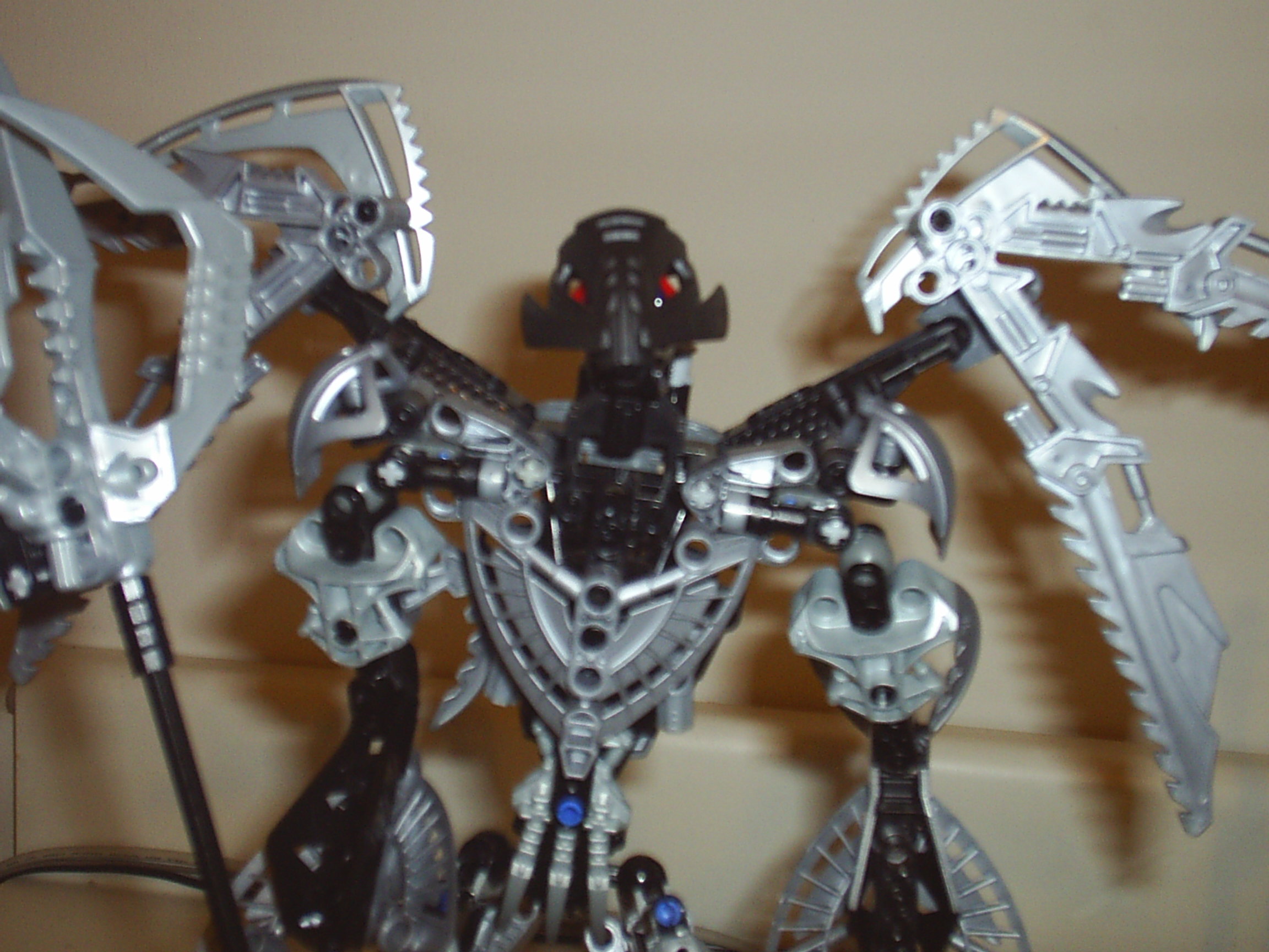 wingsopen.jpg