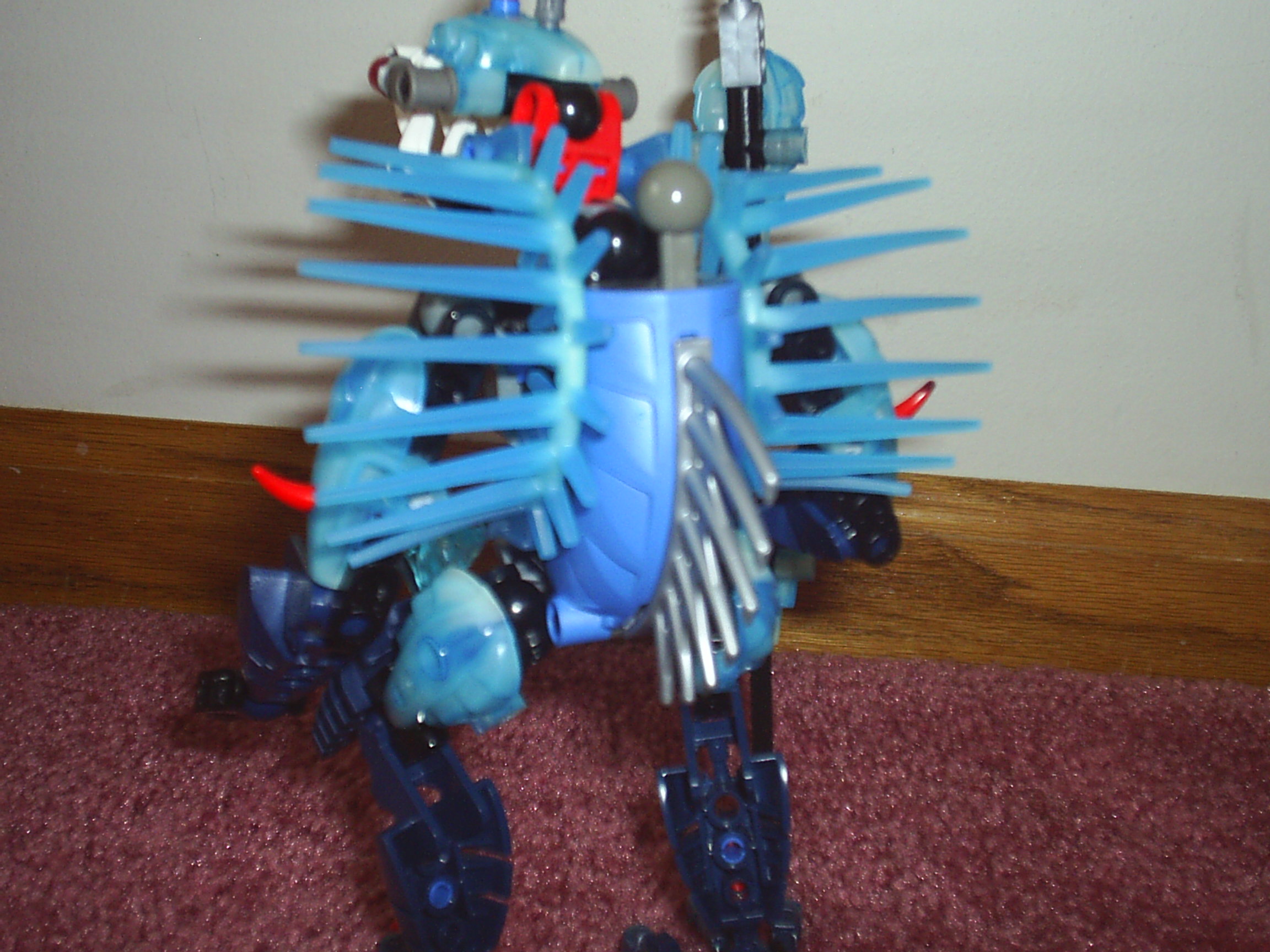 makaruback.jpg
