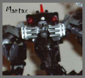 mzthumb.jpg