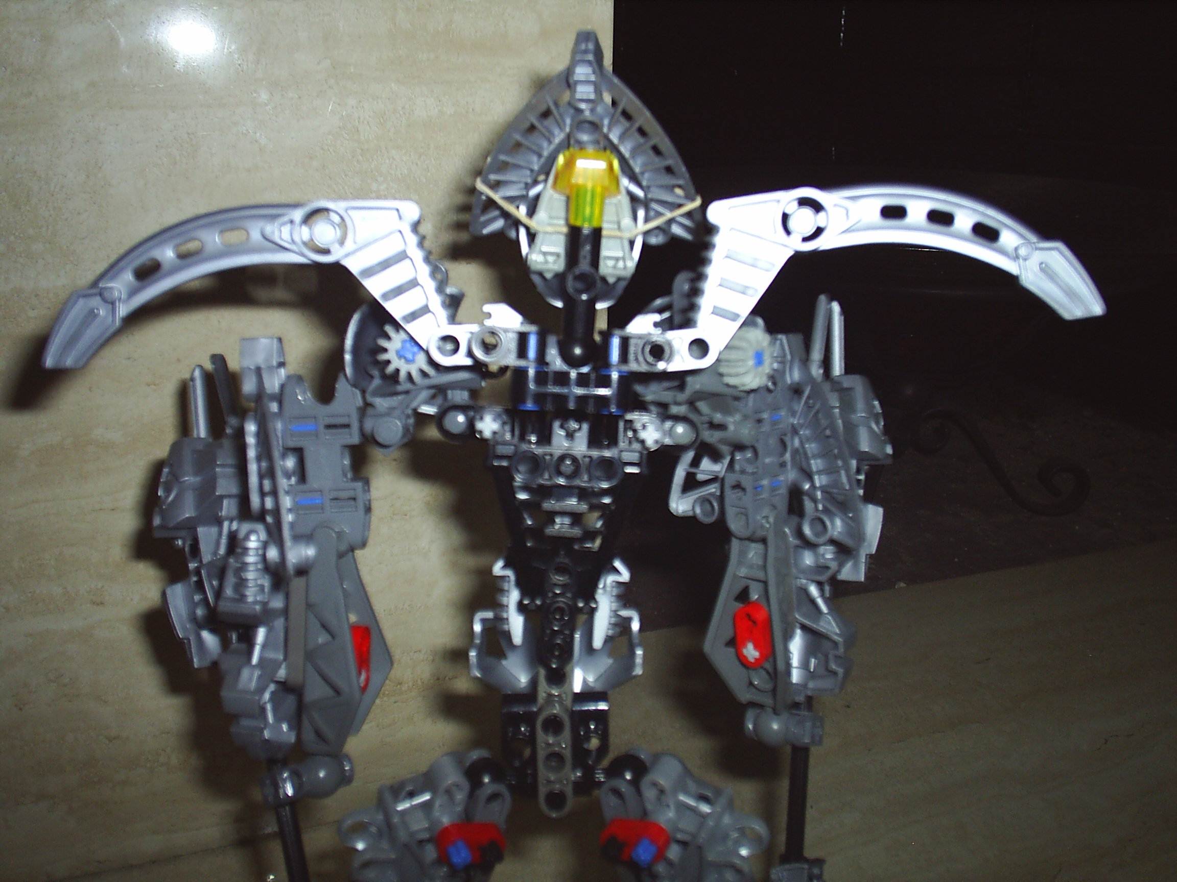 talaxback.jpg