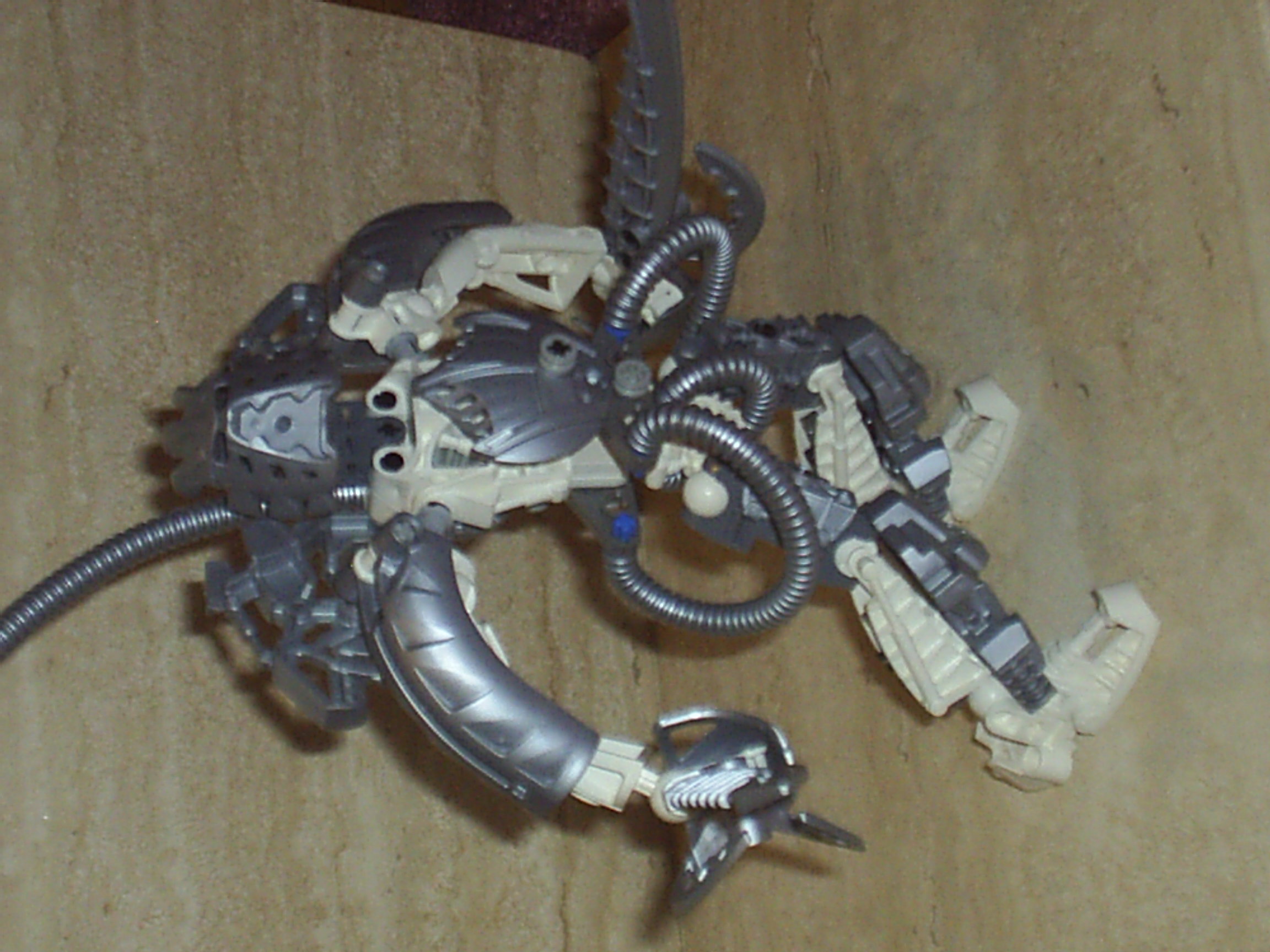 s4010617.jpg