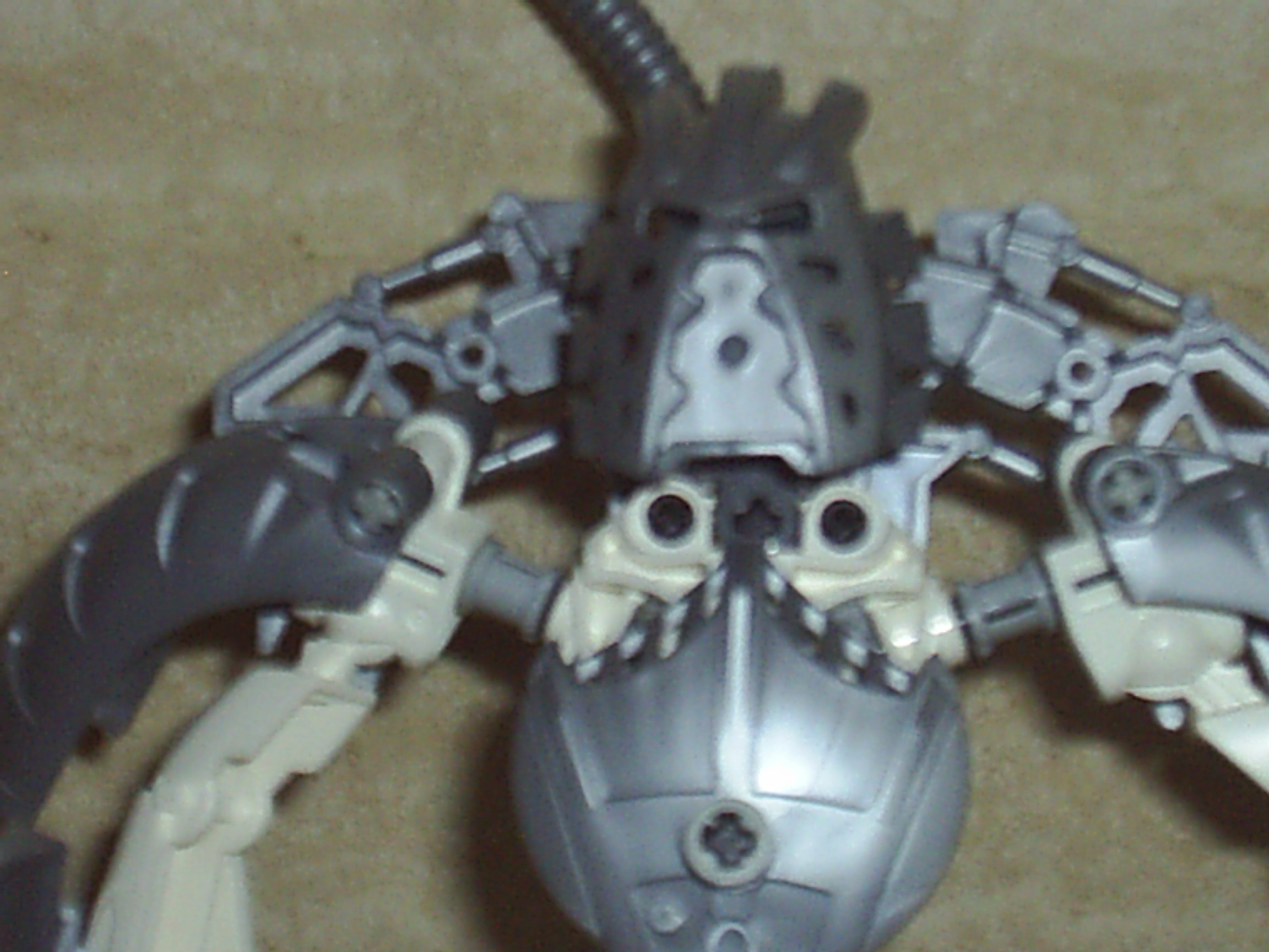s4010620.jpg