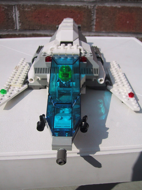 lionid-3.jpg