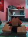 speeder-rearview.jpg