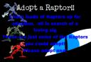 adoptaraptorani.gif