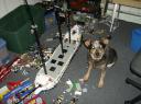 lego_ship_and_dog.jpg