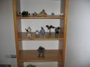 Display