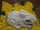 SnowRabbit