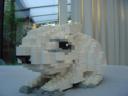 snowrabbit_08.jpg