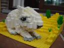 snowrabbit_4.jpg