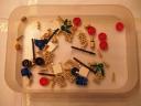 5_bag_1_contents.jpg