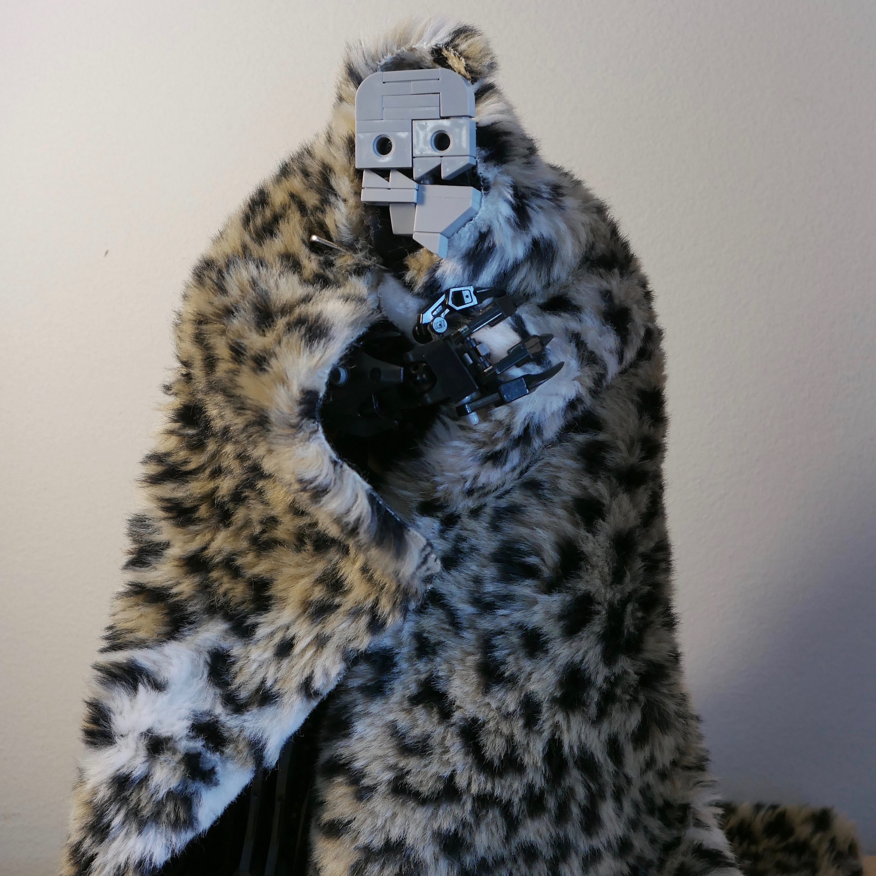 balatroncoat.jpeg